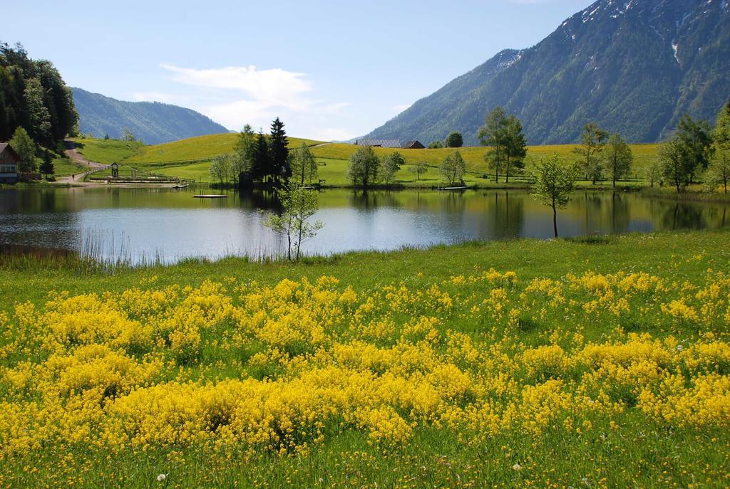 Apartment An Der Traun Bad Aussee Rum bild