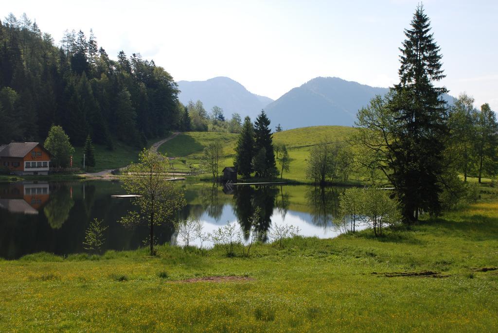 Apartment An Der Traun Bad Aussee Rum bild