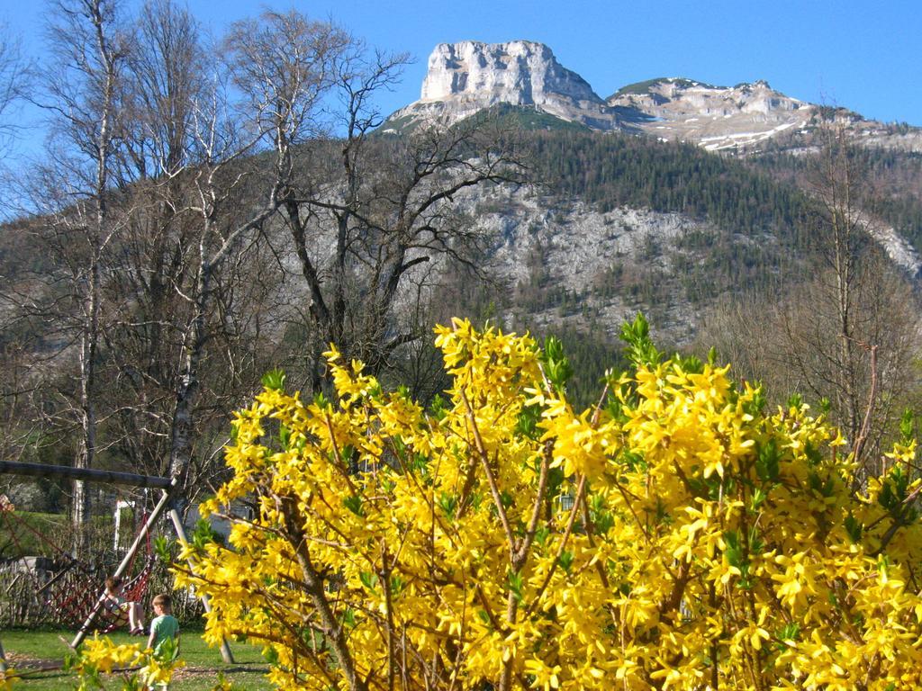Apartment An Der Traun Bad Aussee Rum bild