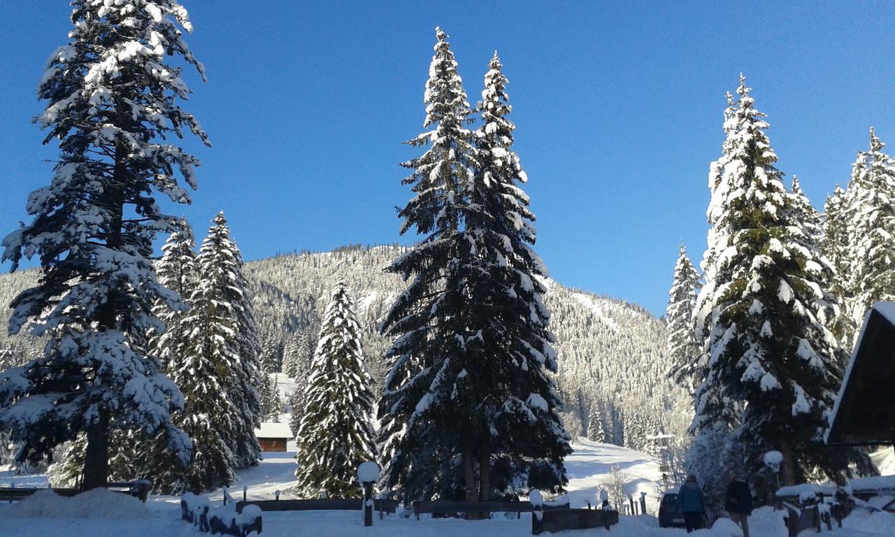 Apartment An Der Traun Bad Aussee Exteriör bild
